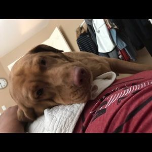 Meet your Posher, Emilia